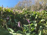 190324-1.jpg