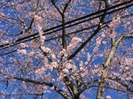 190324-2.jpg