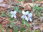 190325-2.jpg