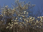 190325-4.jpg