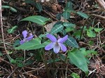 190409-17.jpg
