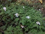190409-21.jpg