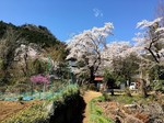 190409-7.jpg