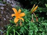 190529-2.jpg