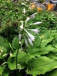 190529-4.jpg