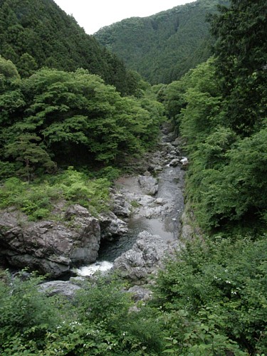 ニッコウキスゲの花が盛りの中山の滝 五日市最新情報