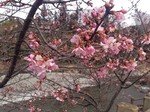 170301.jpg