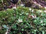 180313-6.jpg