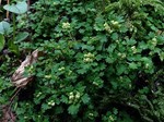180315-1.jpg