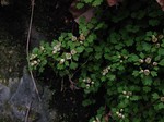 180315-2.jpg