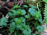 180315-3.jpg