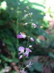 180817-5.jpg