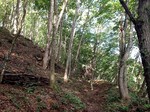 180821-6.jpg