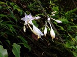 180905-2.jpg