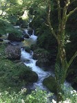 180905-4.jpg