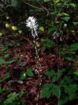 180925-1.jpg