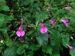 180925-10.jpg