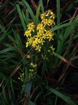 180925-11.jpg
