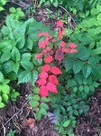 180925-14.jpg
