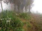 180925-15.jpg