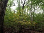 180925-16.jpg