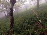 180925-2.jpg