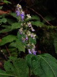 180925-6.jpg