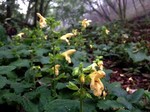 180925-7.jpg