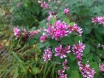 180925-8.jpg
