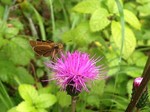 180925-9.jpg