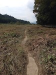 181003-5.jpg