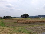 181003-6.jpg