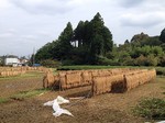 181003-8.jpg