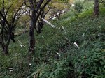 181009-1.jpg