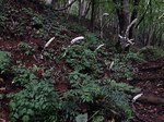 181009-2.jpg