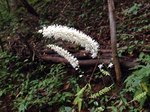181009-4.jpg