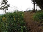 181009-5.jpg