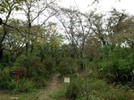 181023-1.jpg
