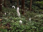181023-2.jpg