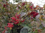 181023-4.jpg