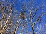 190104-3.jpg