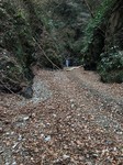190107-11.jpg