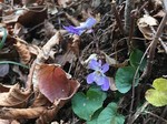 190107-2.jpg