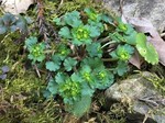 190315-1.jpg