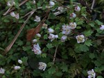 190315-2.jpg