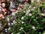 190315-3.jpg