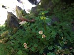 190322-1.jpg