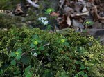 190322-3.jpg