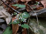 190322-5.jpg