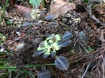 190322-7.jpg